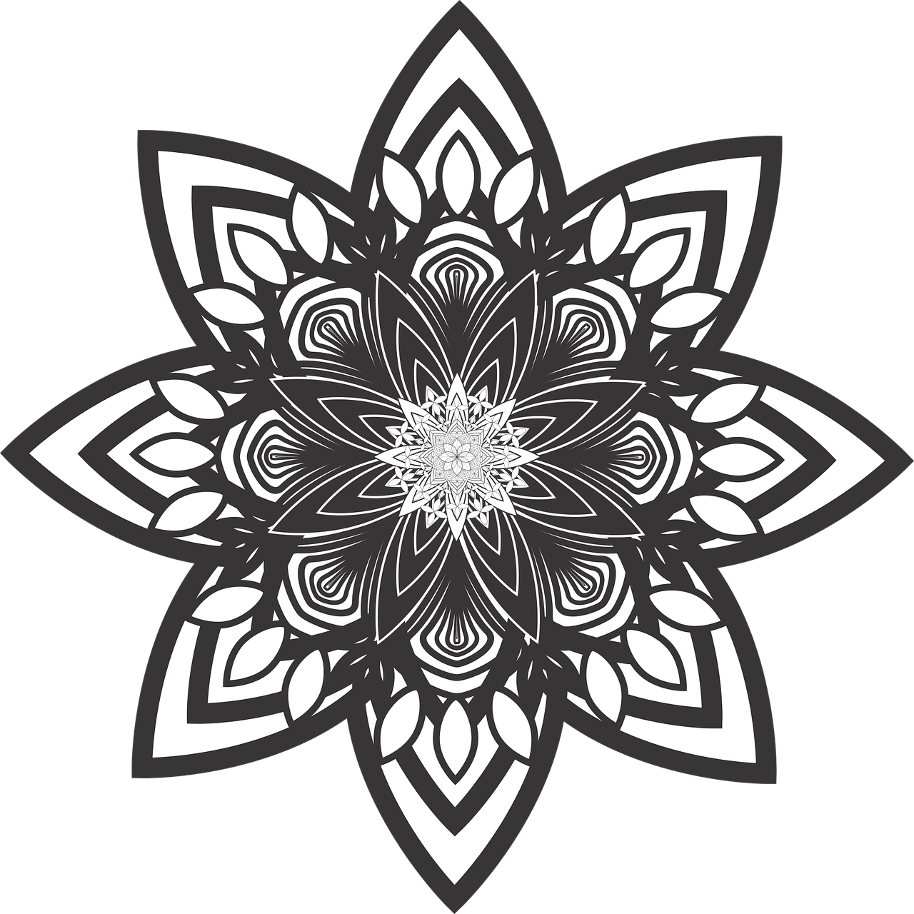 Intricate Blackand White Mandala Design