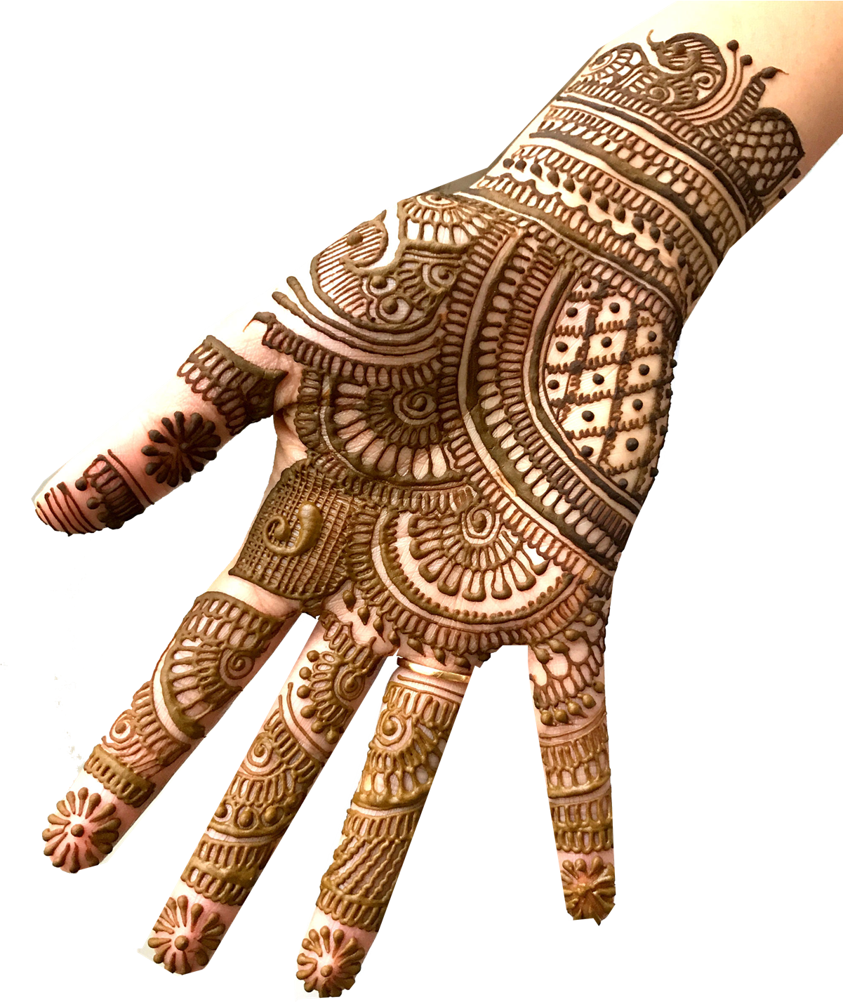 Intricate Mehndi Designon Hand
