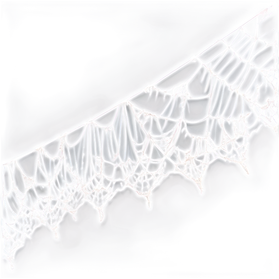 Intricate Spider Web Art