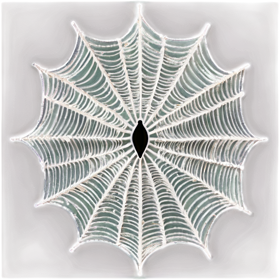 Intricate Spider Web Artwork