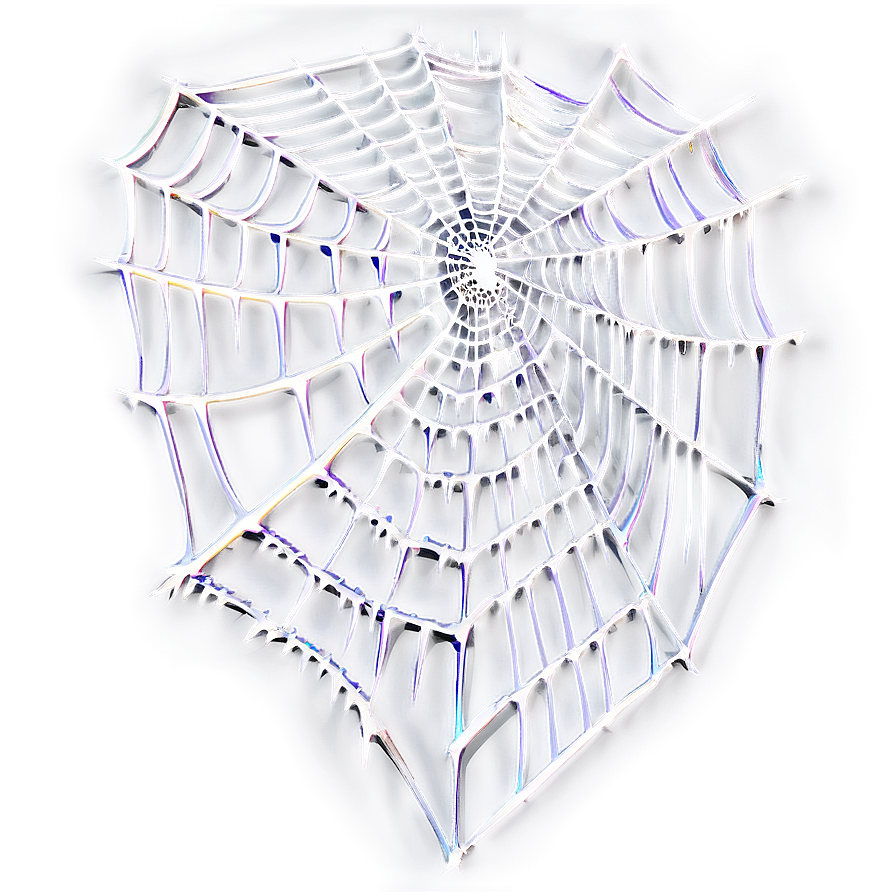 Intricate Spider Web Artwork