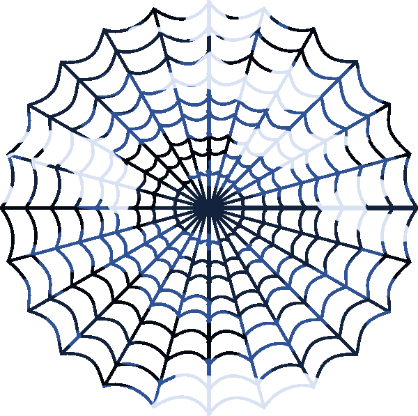 Intricate Spider Web Design