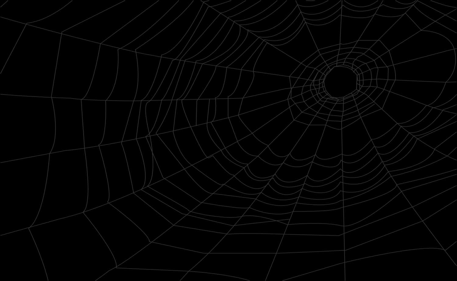 Intricate Spider Web Design