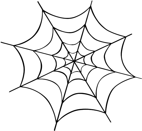 Intricate Spider Web Drawing