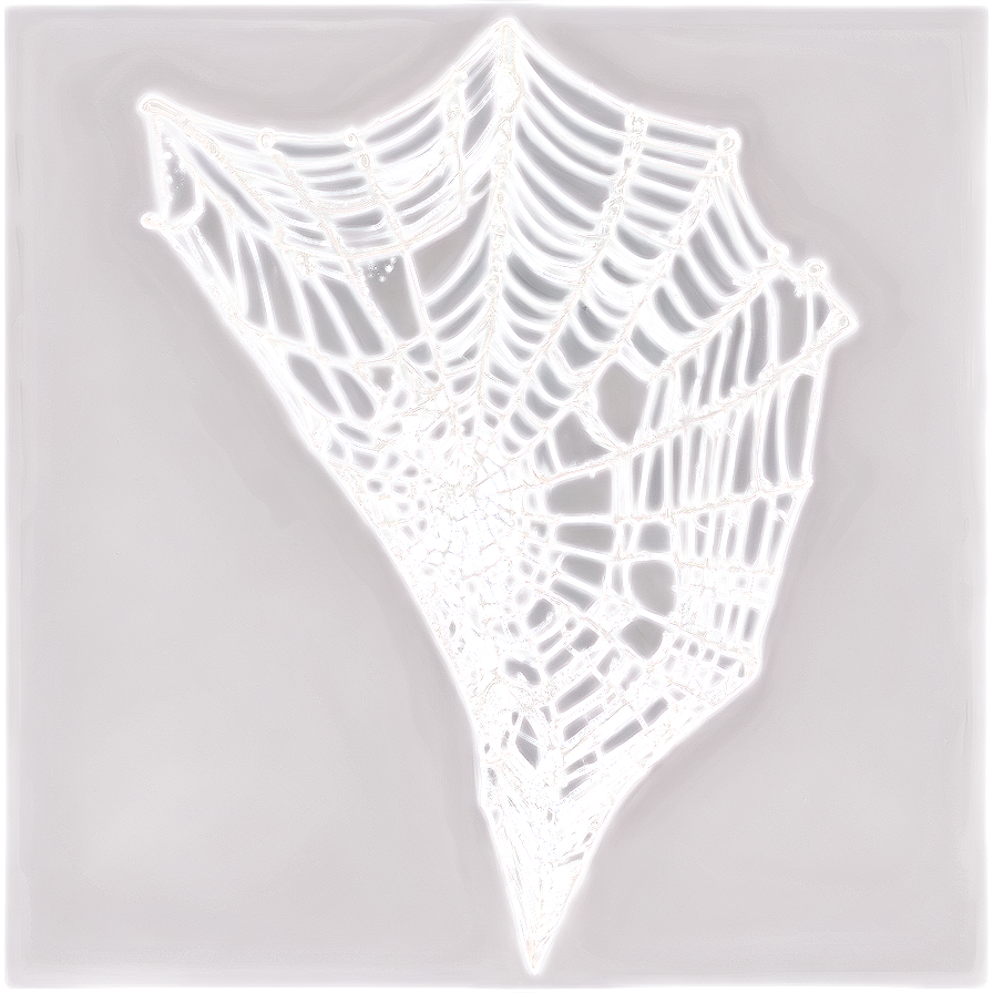 Intricate Spider Web Drawing