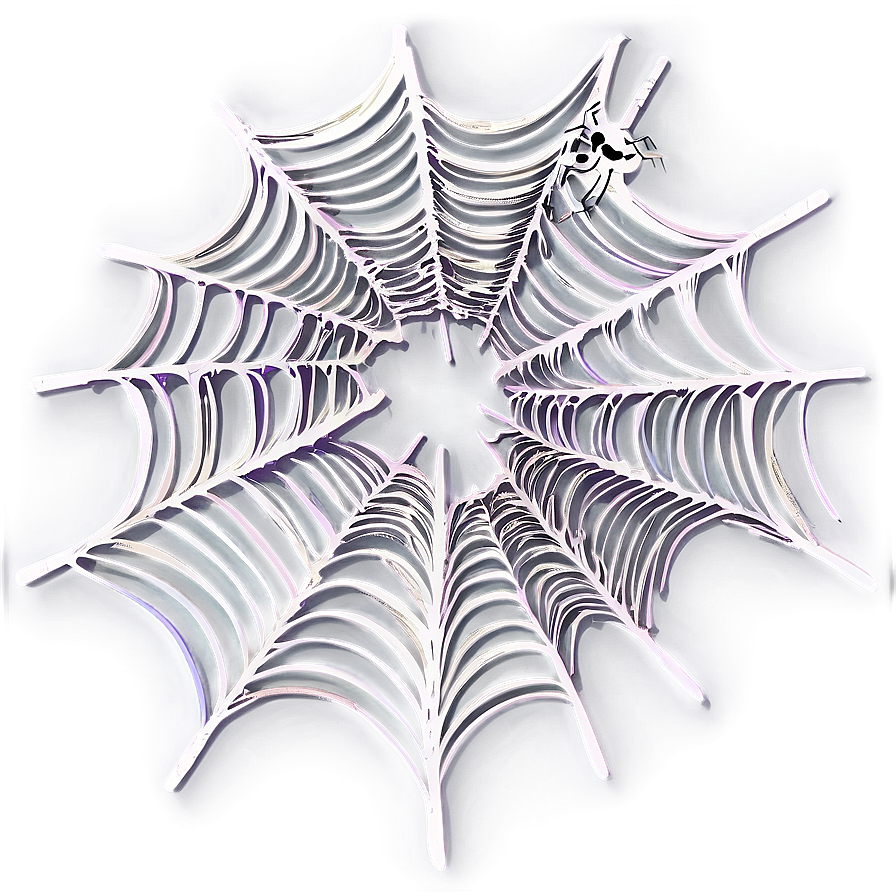 Intricate Spider Web Drawing Png 05042024