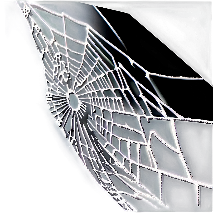 Intricate Spider Web Negative Effect