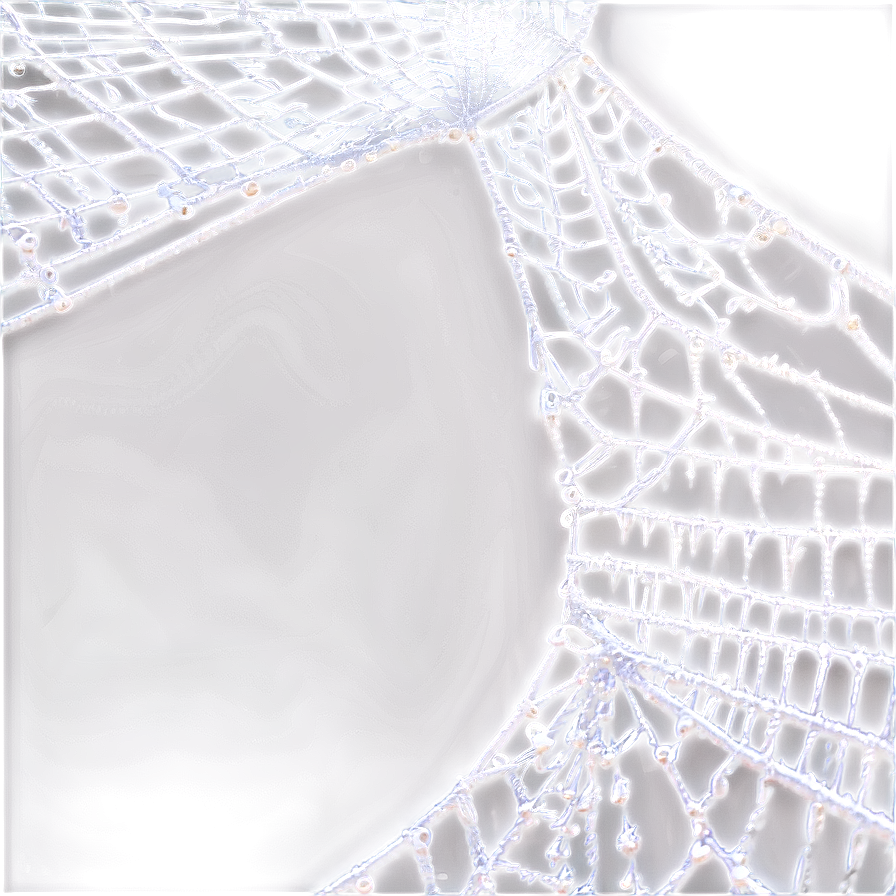 Intricate Spider Web Negative Effect