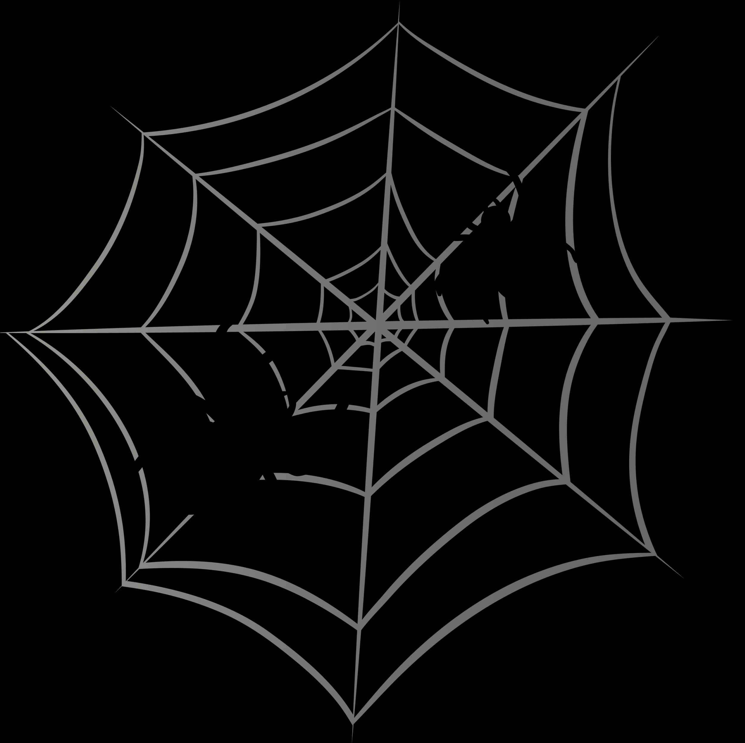 Intricate Spider Webon Black Background