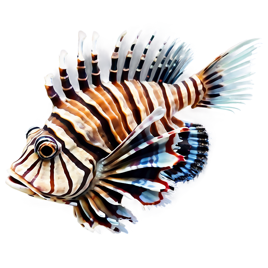 Intriguing Lionfish Png 06292024