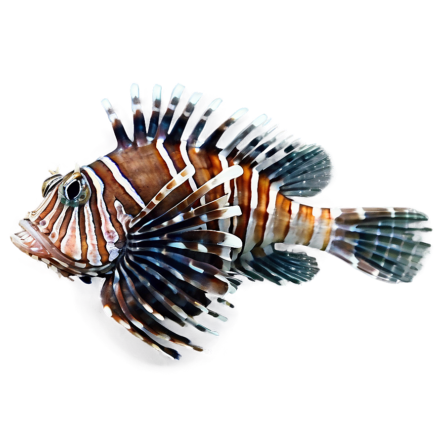 Intriguing Lionfish Png 38