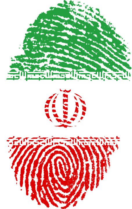 Iranian Fingerprint Flag Art
