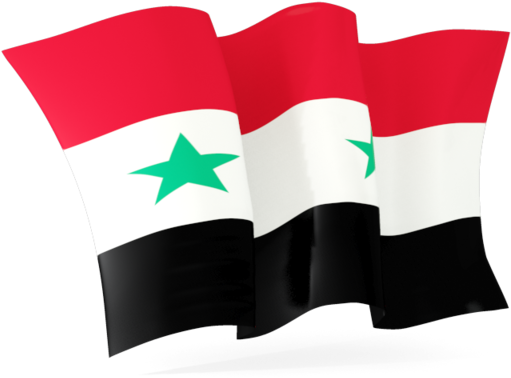 Iraqi Flag Waving