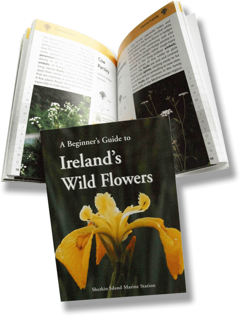 Irelands Wild Flowers Guide Book