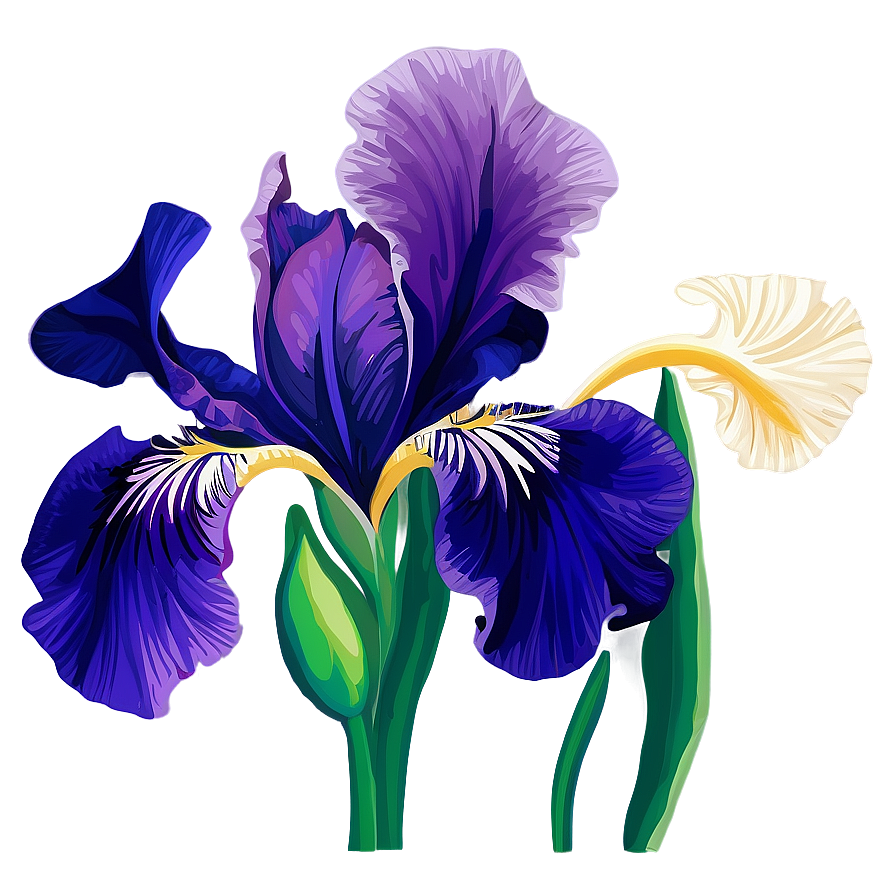 Iris Flower Decal Design Png 37