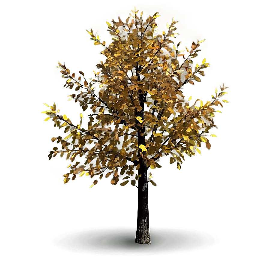 Isolated Autumn Tree Png Uys