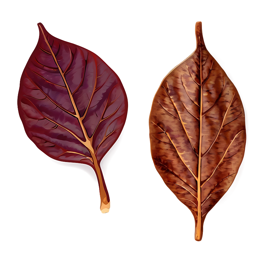 Isolated Fall Leaf Png 75