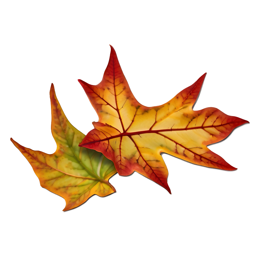 Isolated Fall Leaf Png Nfd20