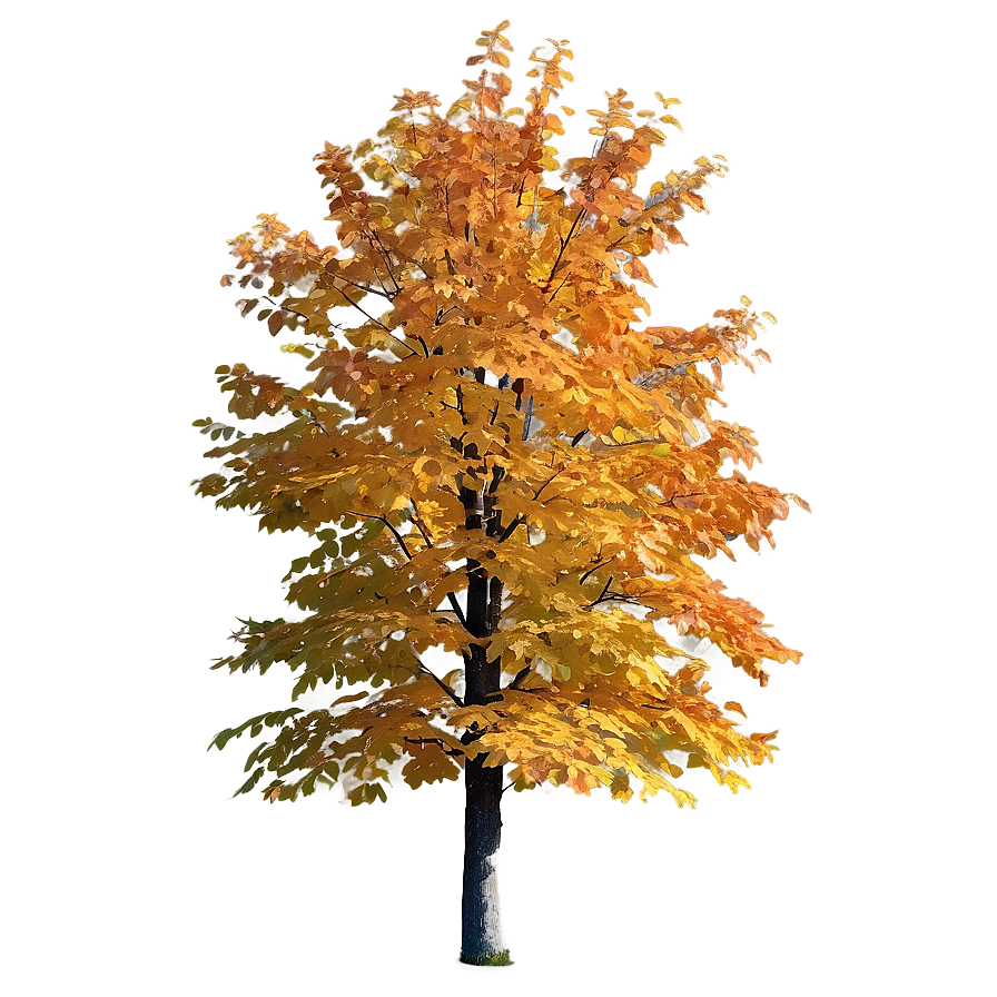 Isolated Fall Tree Png 88