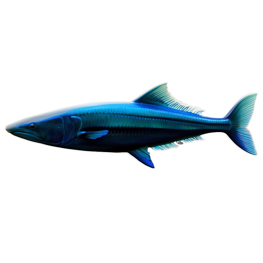 Isolated Fin Png 06272024