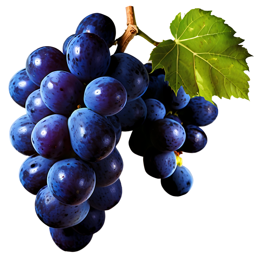 Isolated Grapes Png 74