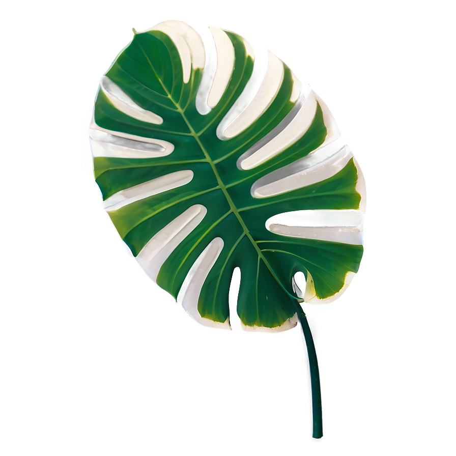 Isolated Monstera Leaf Png Jaq70