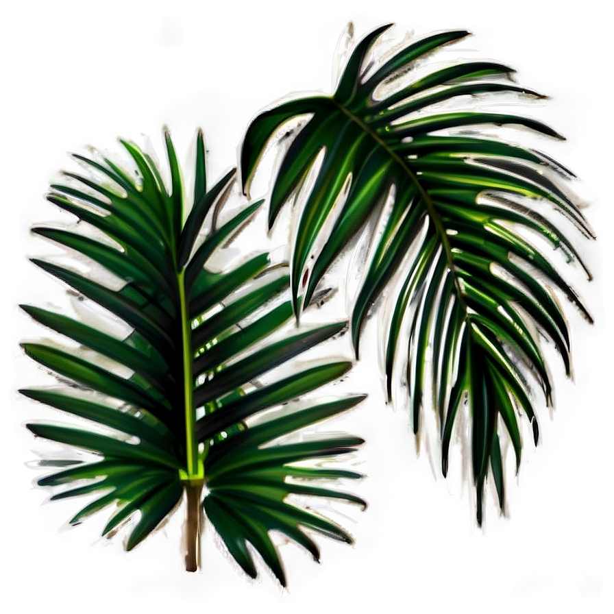 Isolated Palm Leaves Png Qpf