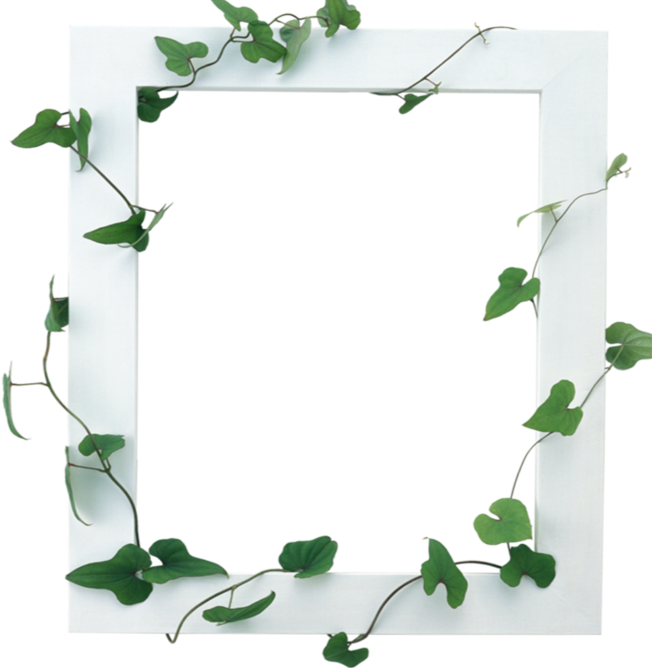 Ivy Embellished Frame Template