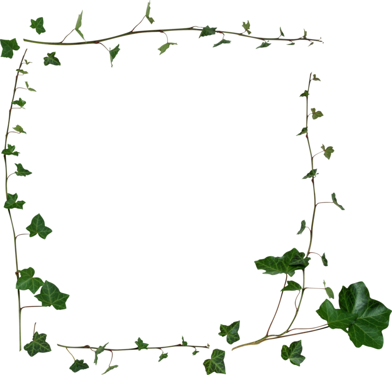 Ivy Vine Frameon Blue Background