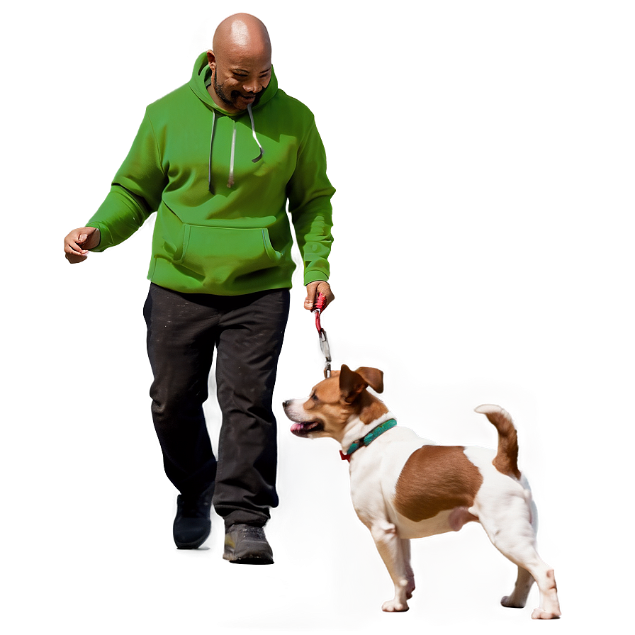 Jack Russell Dog Walking Png 06292024