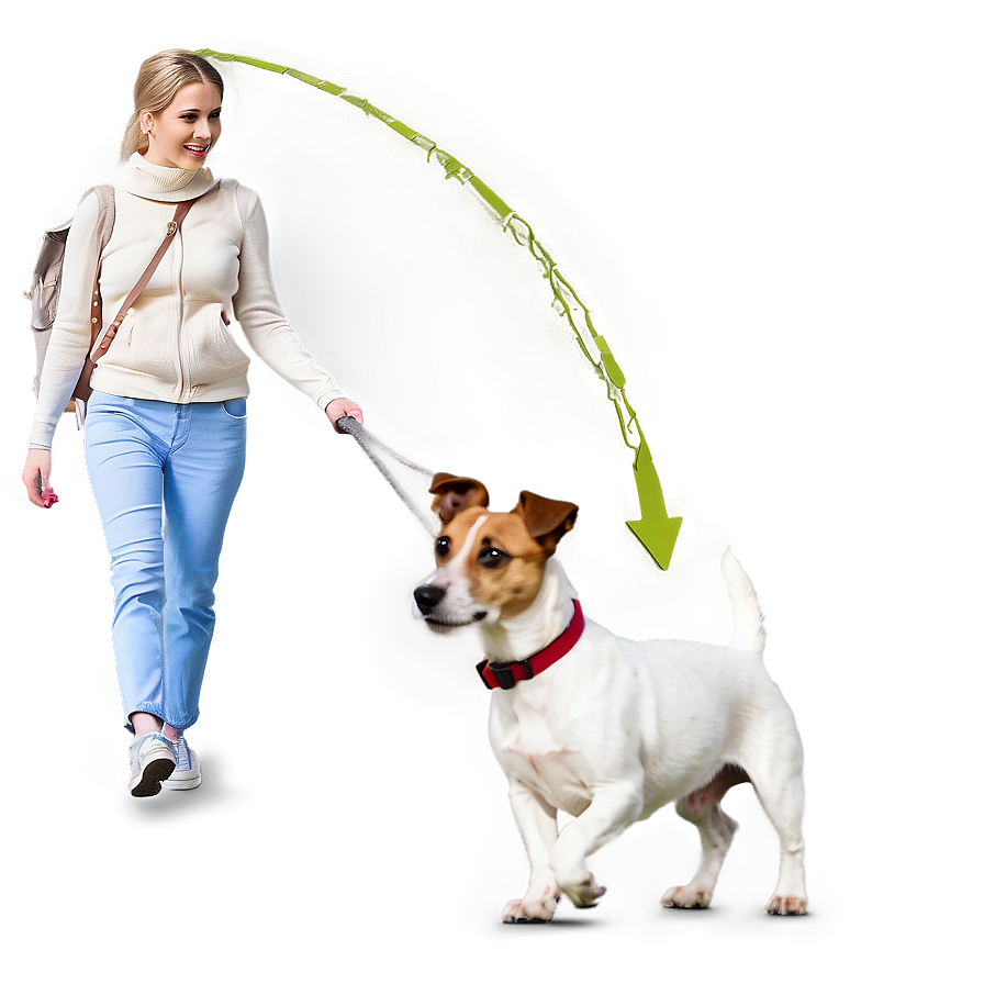 Jack Russell Dog Walking Png 06292024