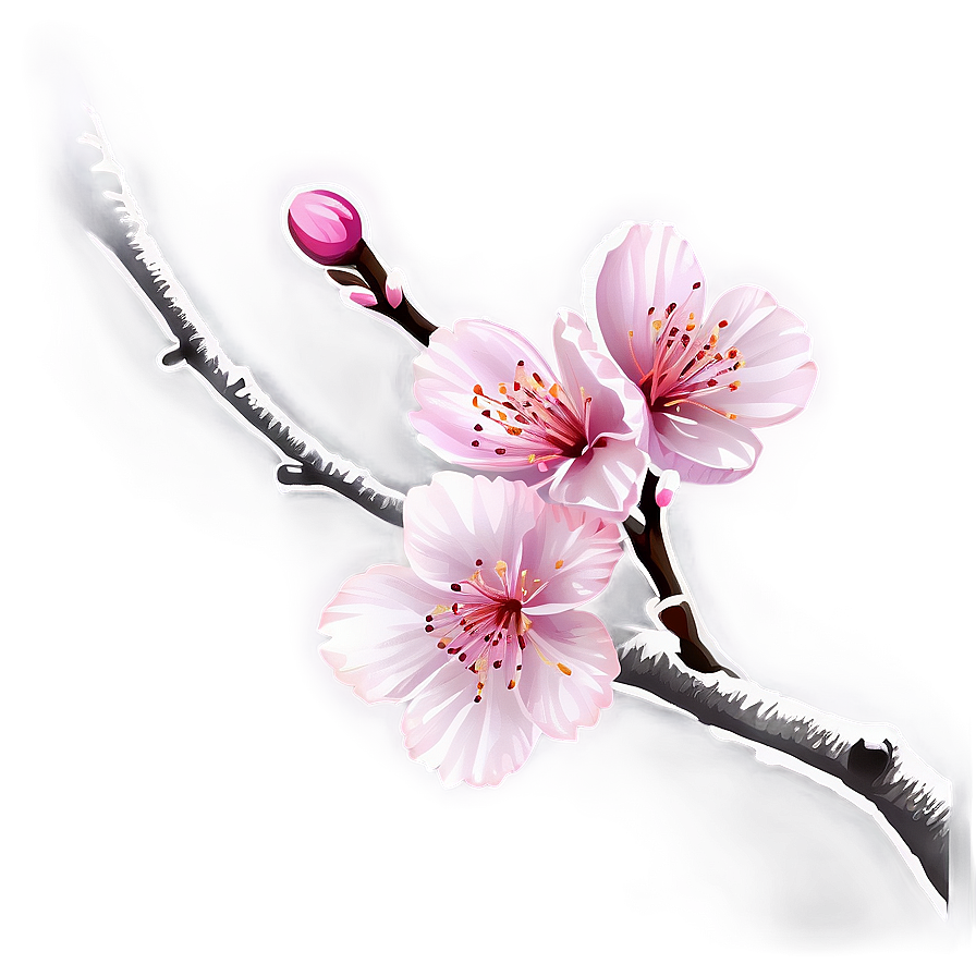 Japanese Cherry Blossom Png Acx