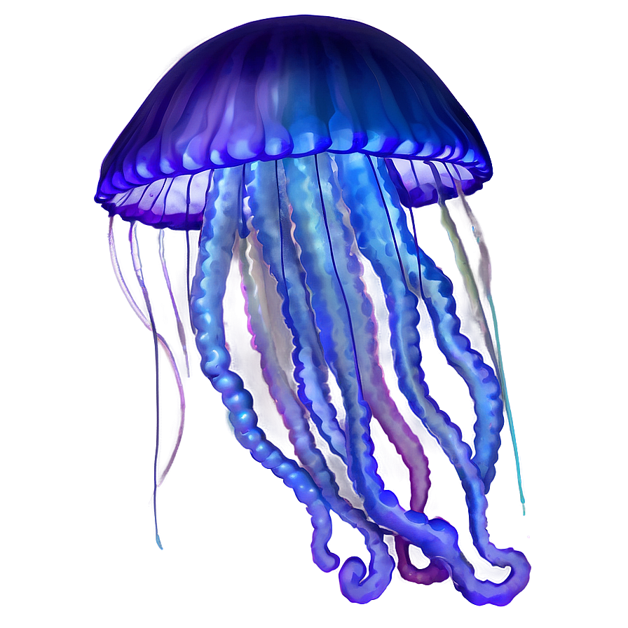 Jellyfish Fantasy Jelly Png 21