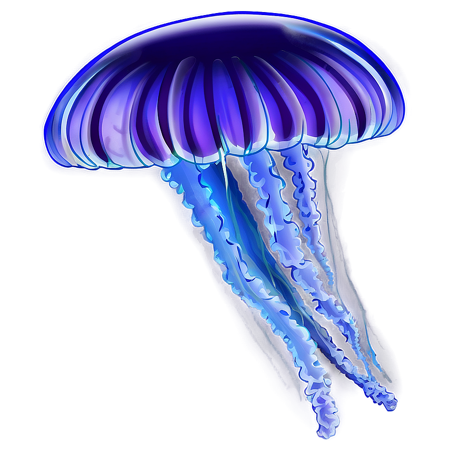 Jellyfish Transparent Png 05262024