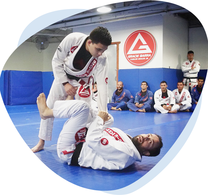 Jiu Jitsu Training Session