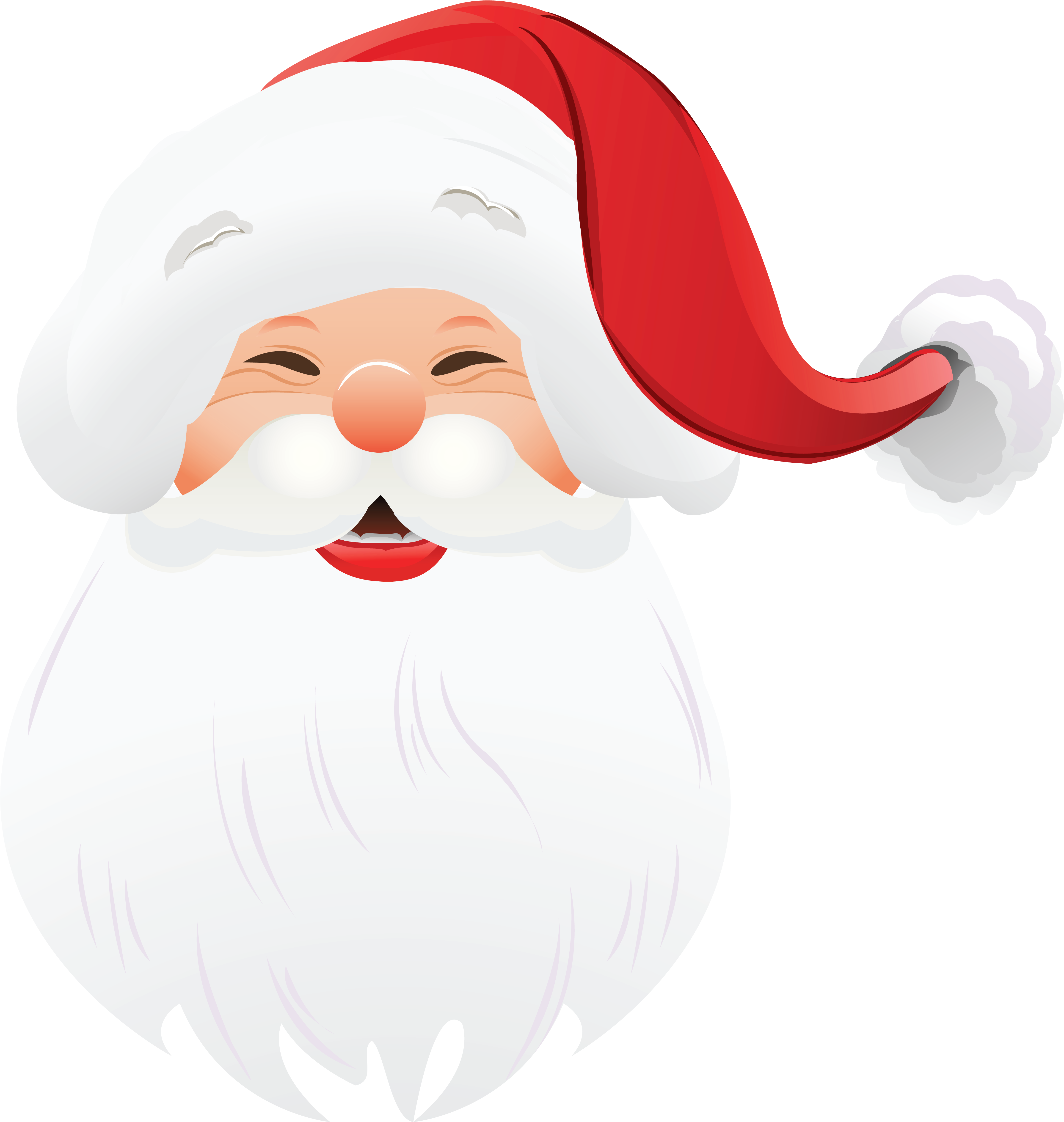 Jolly Santa Claus Portrait