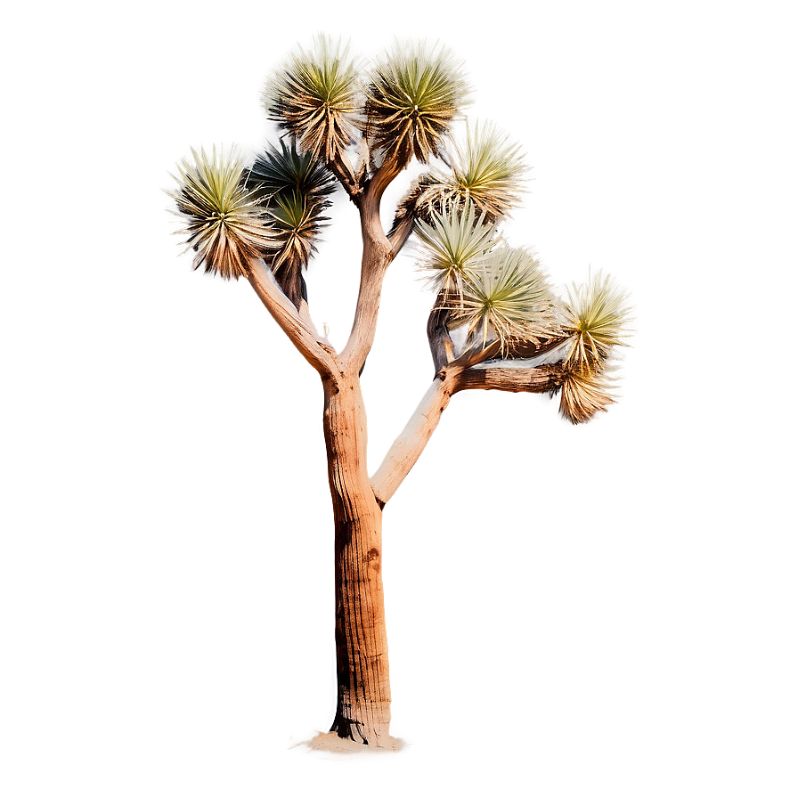 Joshua Tree In Pastel Colors Png Gmp41