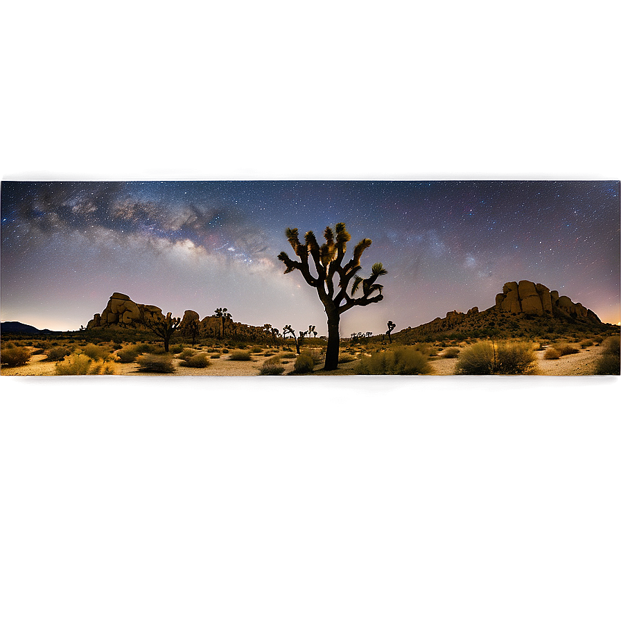 Joshua Tree Night Sky Panorama Png 06262024