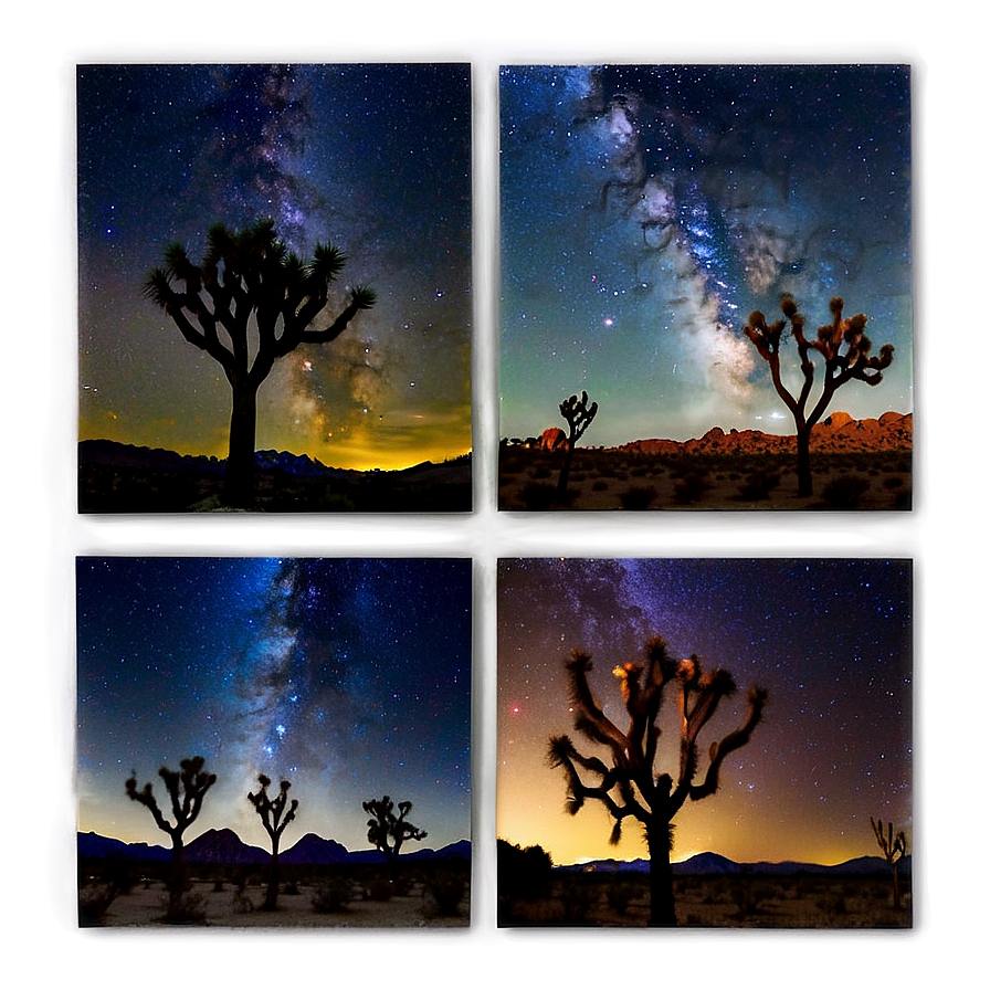 Joshua Tree Night Sky Panorama Png Krm