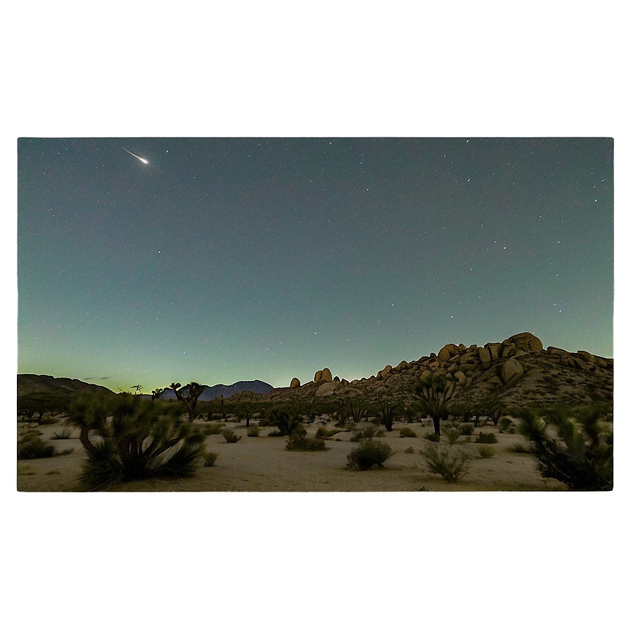 Joshua Tree Under Moonlight Png 45