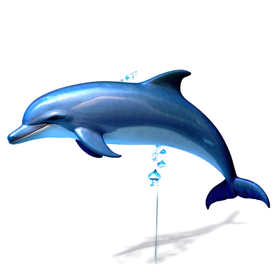 Joyful Dolphin Animation Png 23