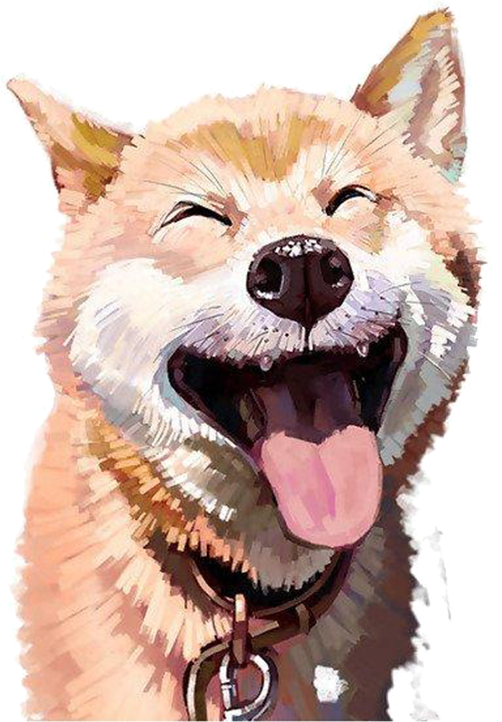 Joyful Shiba Inu Laughing