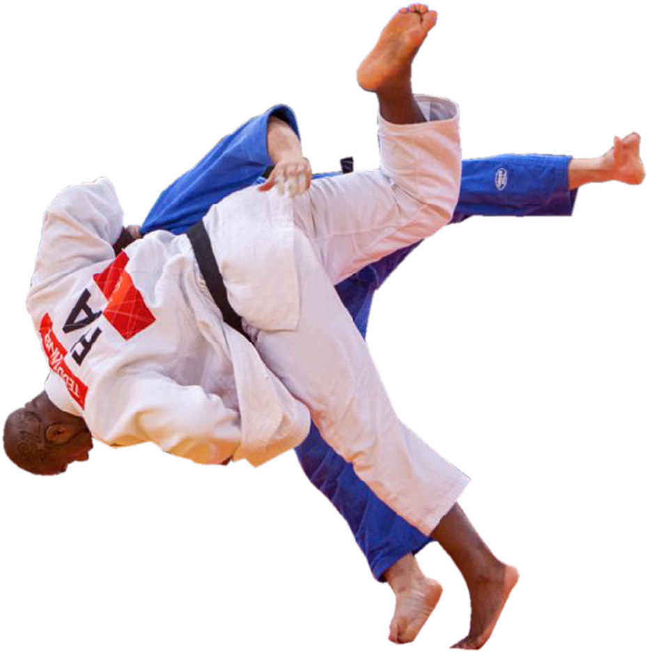 Judo Throw Action Shot.png