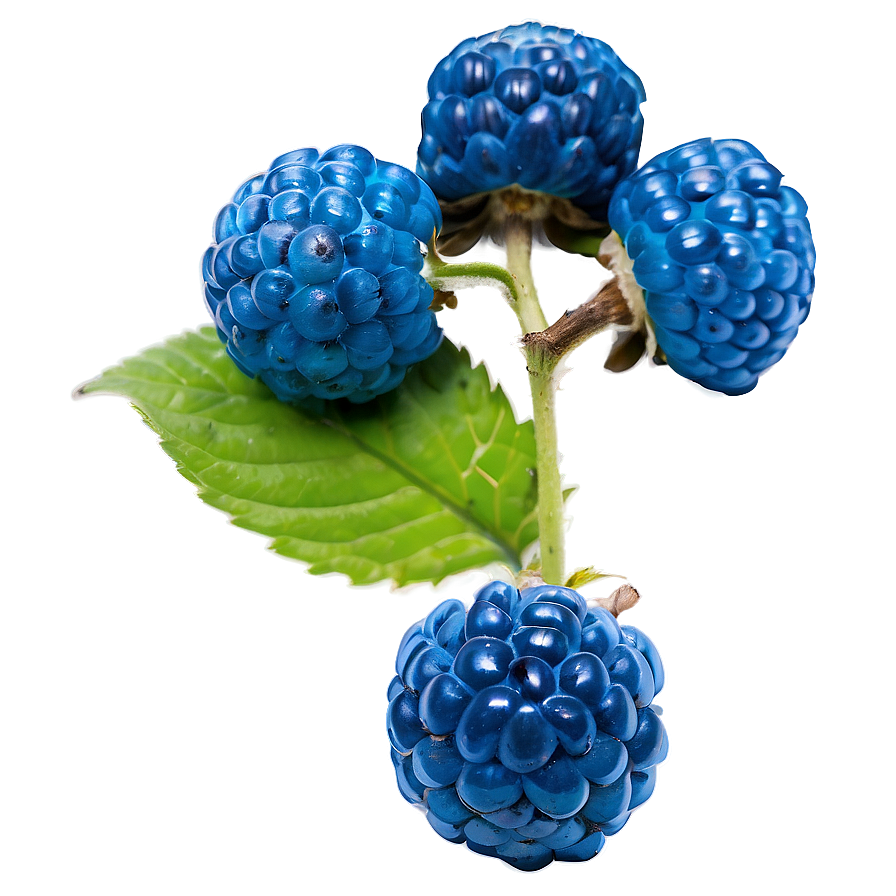 Juicy Blue Raspberry Png Dhq