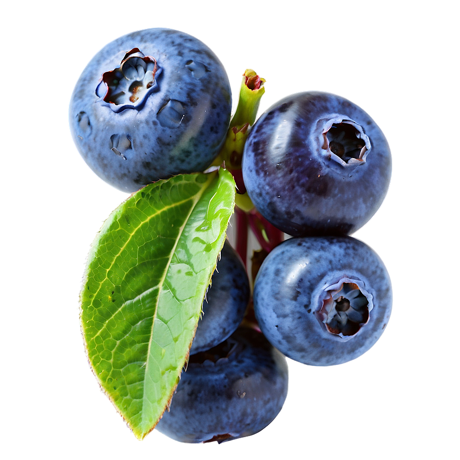 Juicy Blueberries Png 05242024