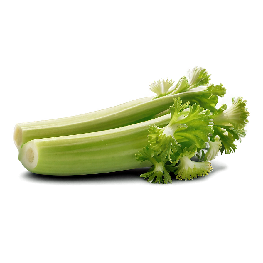 Juicy Celery Png 06252024