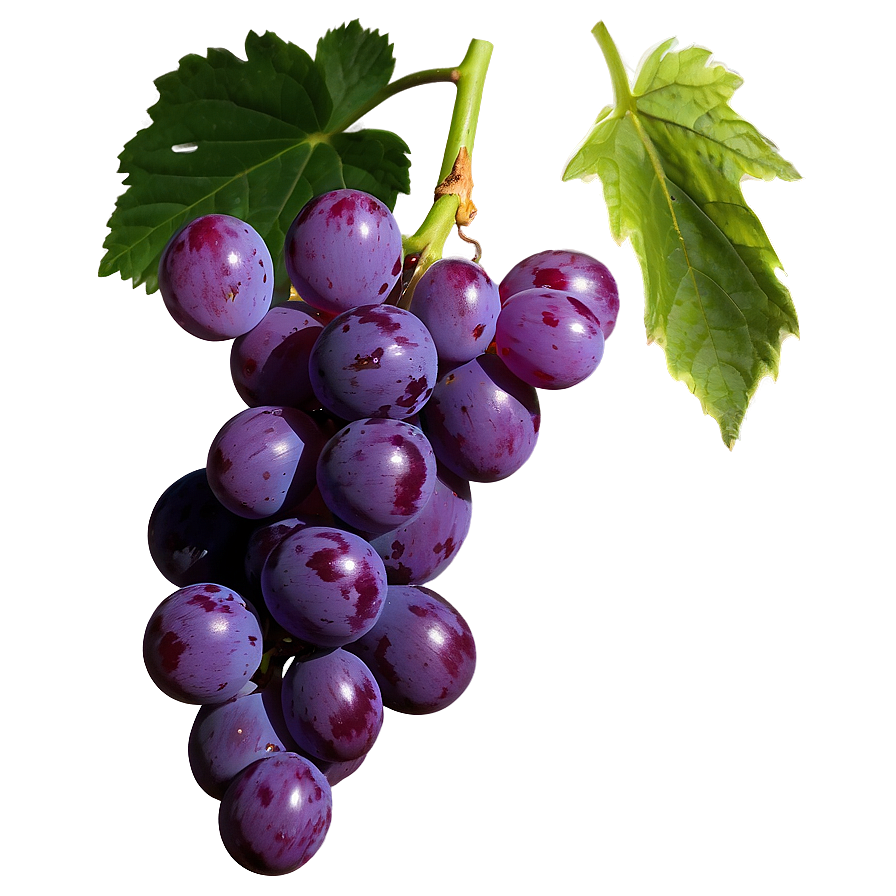 Juicy Grape Png 96