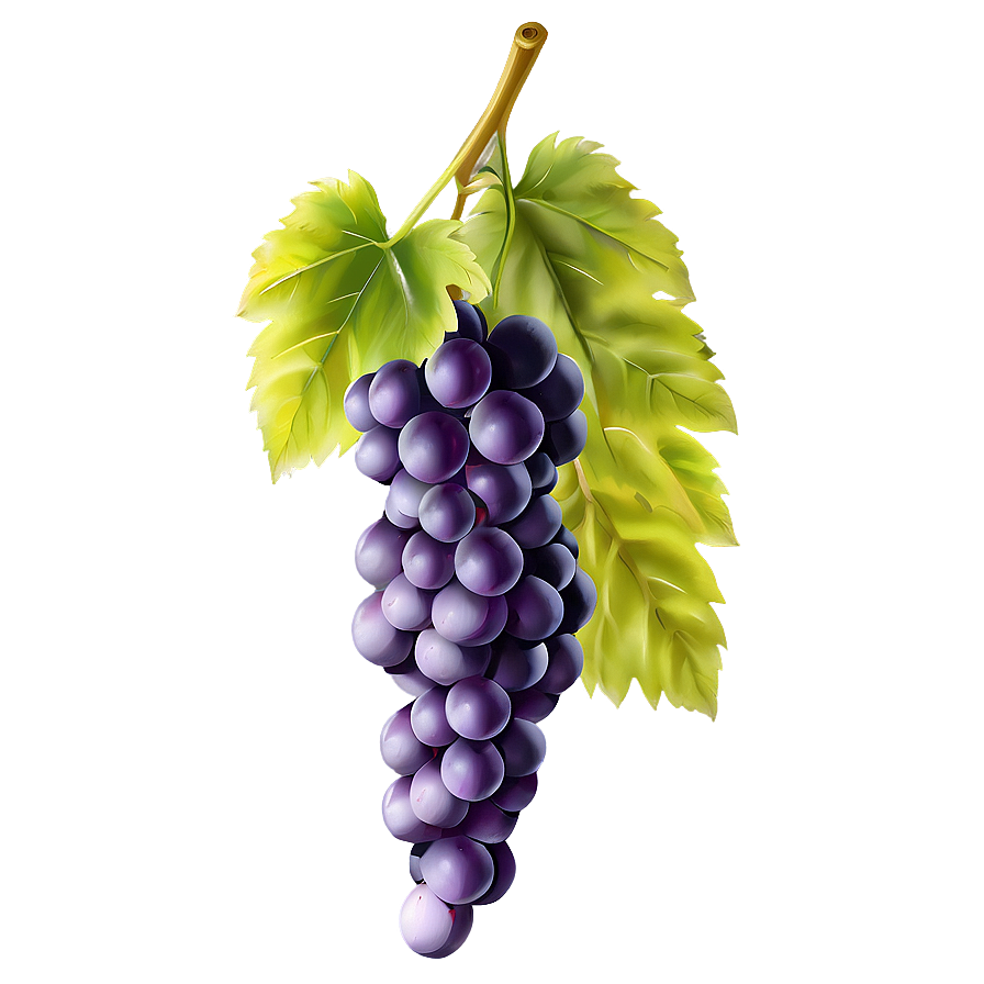 Juicy Grapes Png 05242024