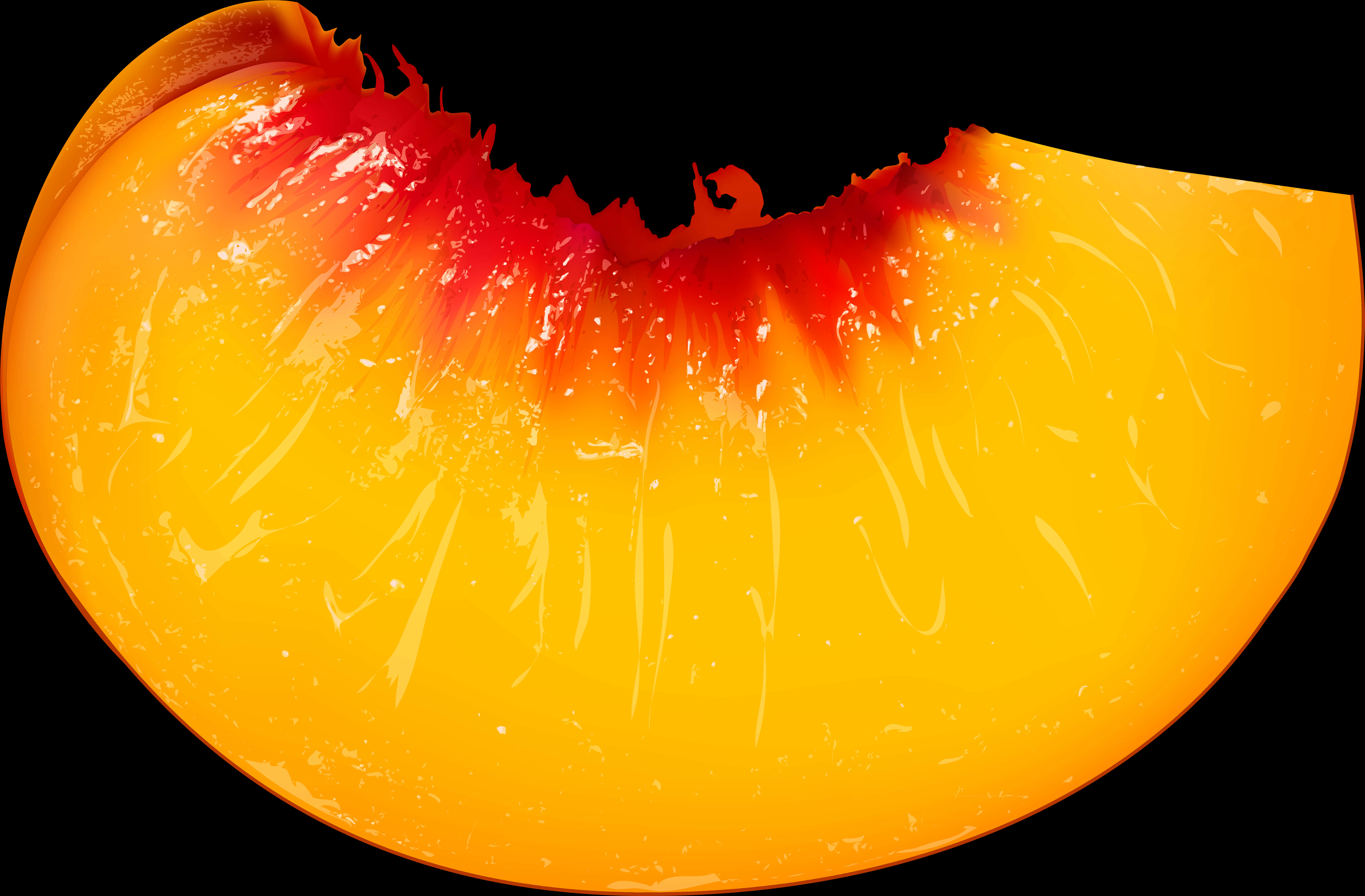 Juicy Peach Slice Closeup