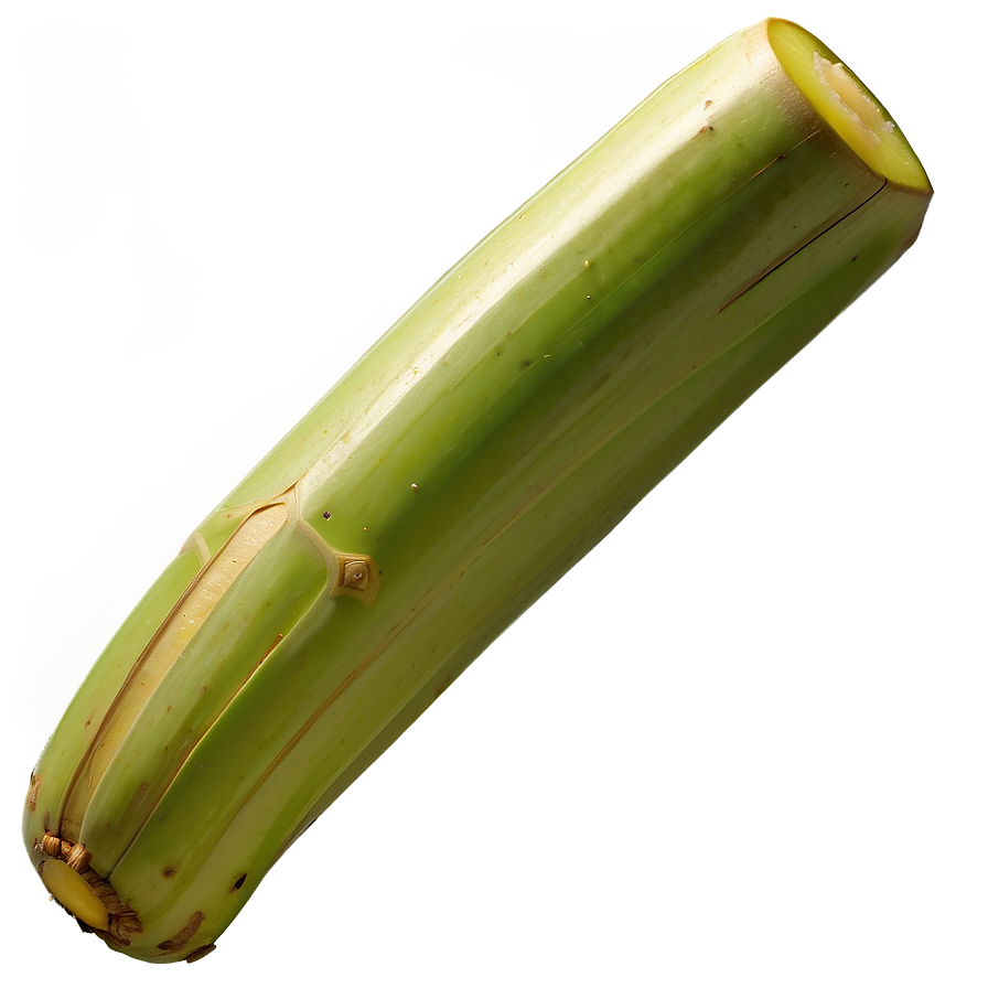 Juicy Sugarcane Segment Png Rwj79